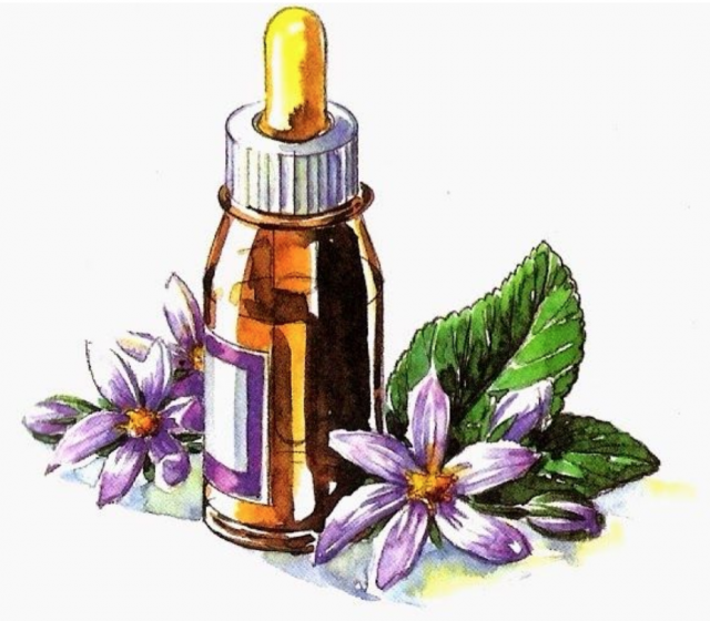 florais